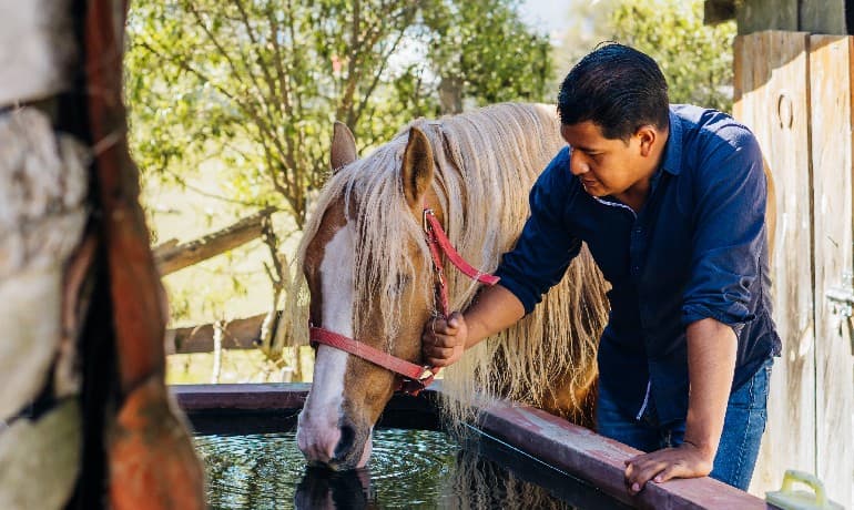 Discover Healing at Belaku Rehab: Equine Therapy and Horse Riding for
          Addiction Recovery in South India