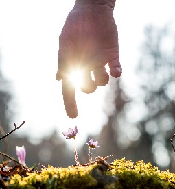 Belaku Rehab Blog Post Image